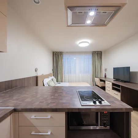 Gyneju Self Check-in - Lollo 公寓 维尔纽斯