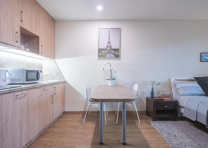 Gyneju Self Check-in - Lollo ヴィリニュス