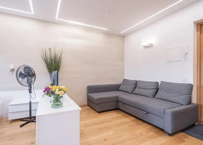 Gyneju Self Check-in - Lollo