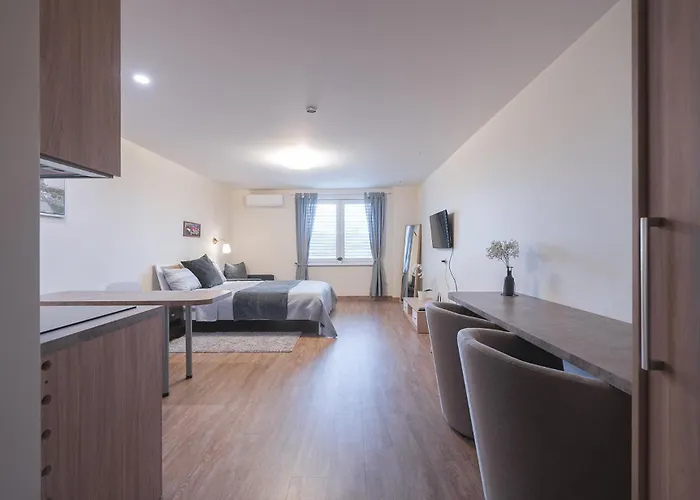 Gyneju Self Check-in - Lollo *