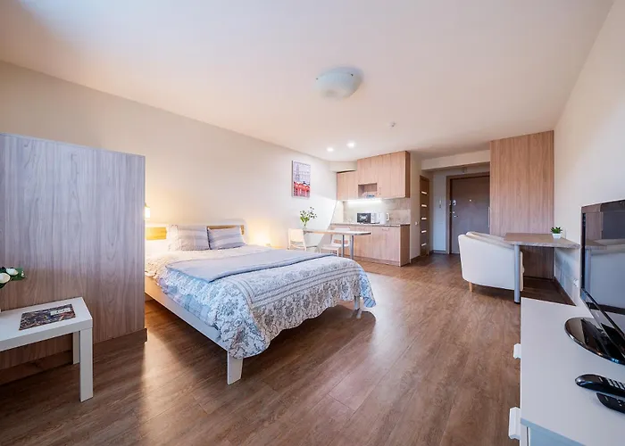 Gyneju Self Check-in - Lollo * ヴィリニュス