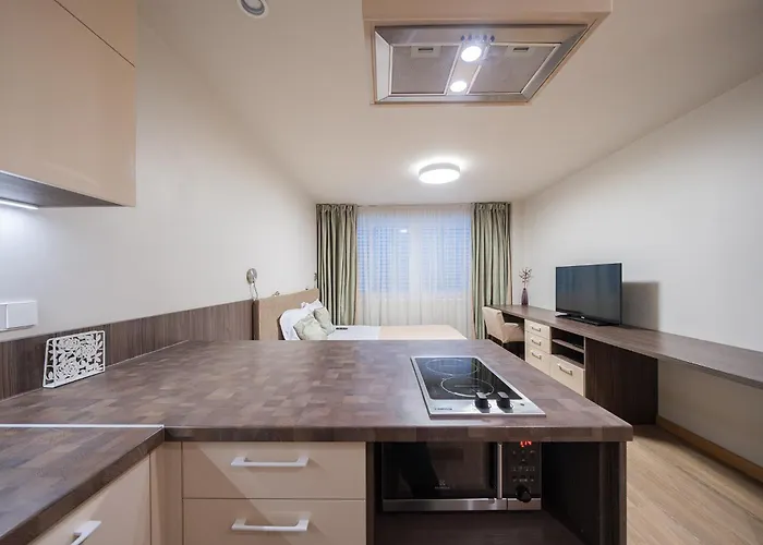 Gyneju Self Check-in - Lollo Appartement Vilnius