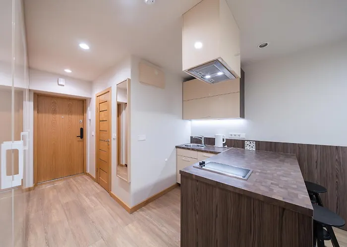 Gyneju Self Check-in - Lollo * Vilnius