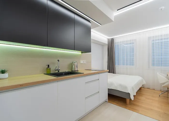 Gyneju Self Check-in - Lollo * ヴィリニュス