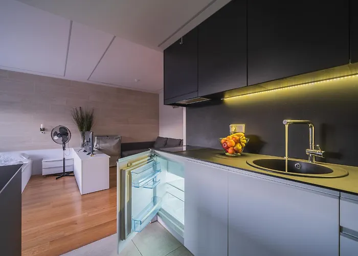 Gyneju Self Check-in - Lollo * 维尔纽斯